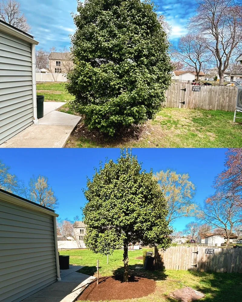 Trusted yard maintenance in Crownsville, MD - Hyatt Landscaping