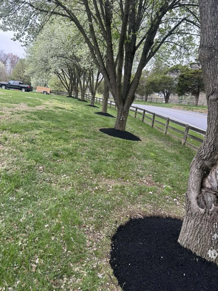 Professional landscaping services in Crownsville, MD - Hyatt Landscaping