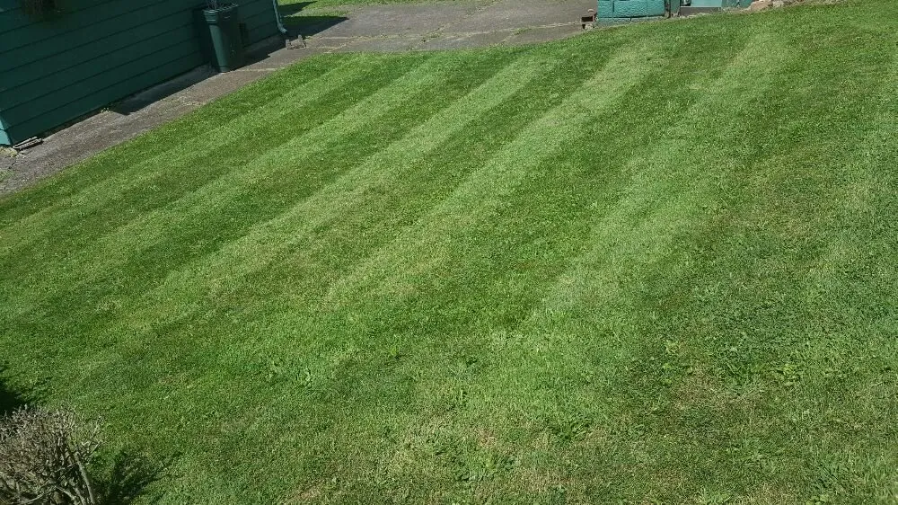 Local lawn care service in Weirton, WV - Hybrid Enterprises