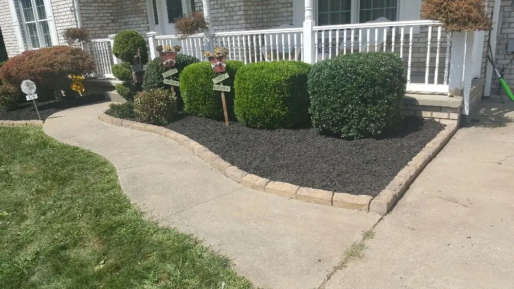 Affordable yard cleanup service in Weirton, WV by Hybrid Enterprises