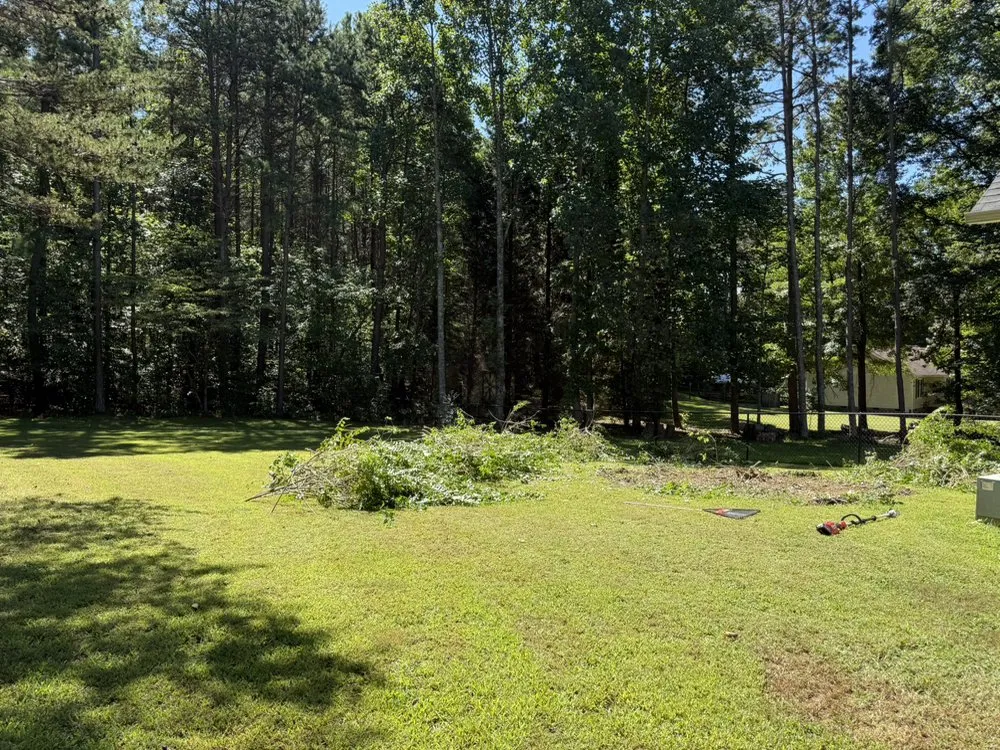 Expert residential landscaping for residential properties across Statesville, NC - Hybrid Hauling & Solutions