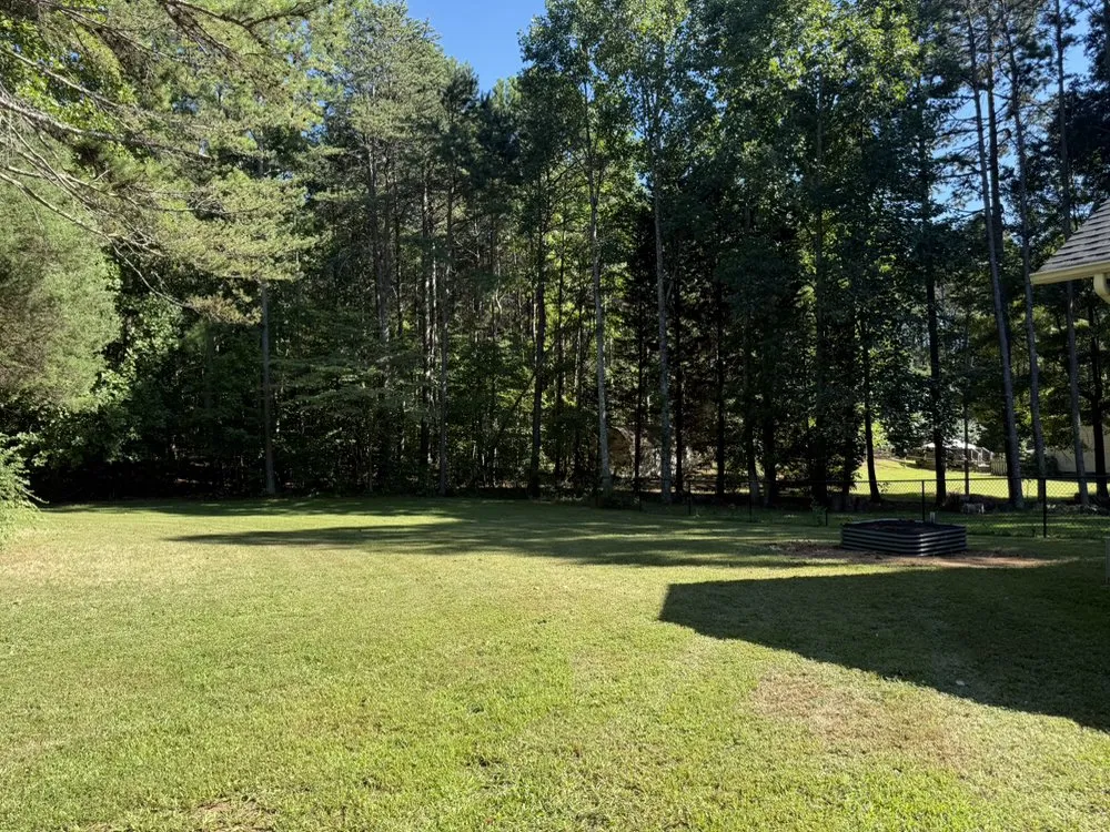 Custom yard cleanup service in Statesville, NC - Hybrid Hauling & Solutions