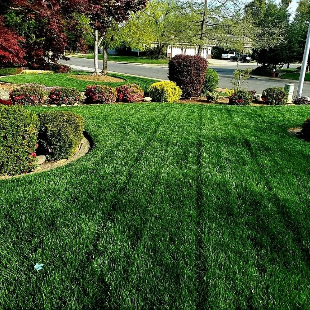Expert yard cleanup service in Redding, CA by Hybrid Scapes