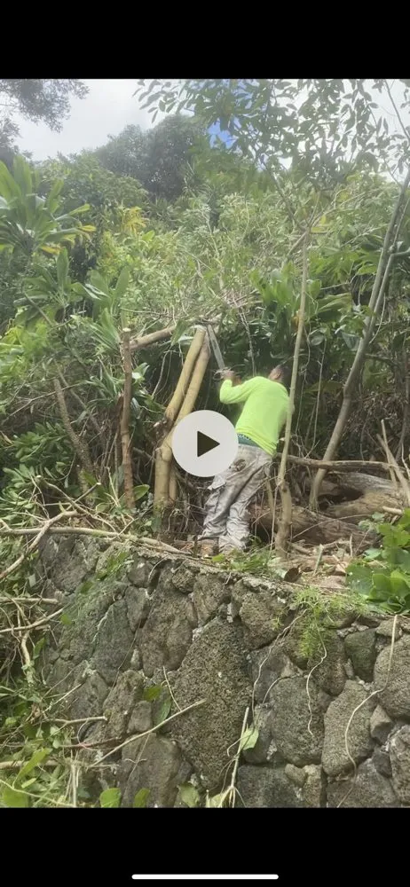 Expert outdoor landscaping experts serving Honolulu, HI - Hybrid Sons Lawn Care & Maintenance