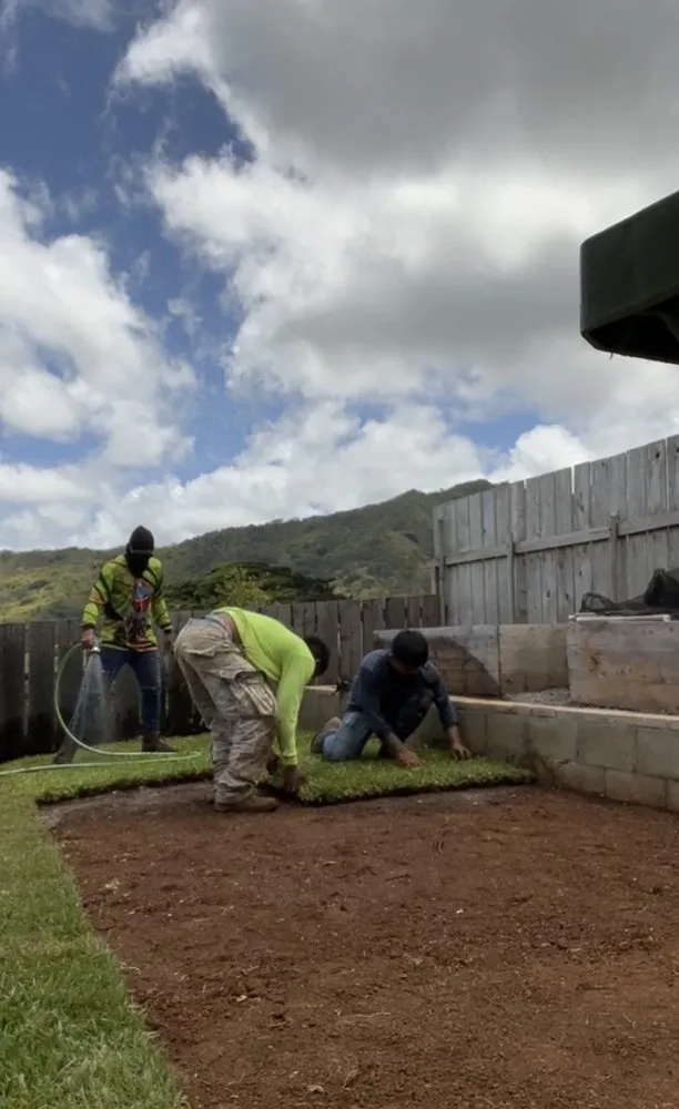 Affordable lawn mowing service experts serving Honolulu, HI - Hybrid Sons Lawn Care & Maintenance
