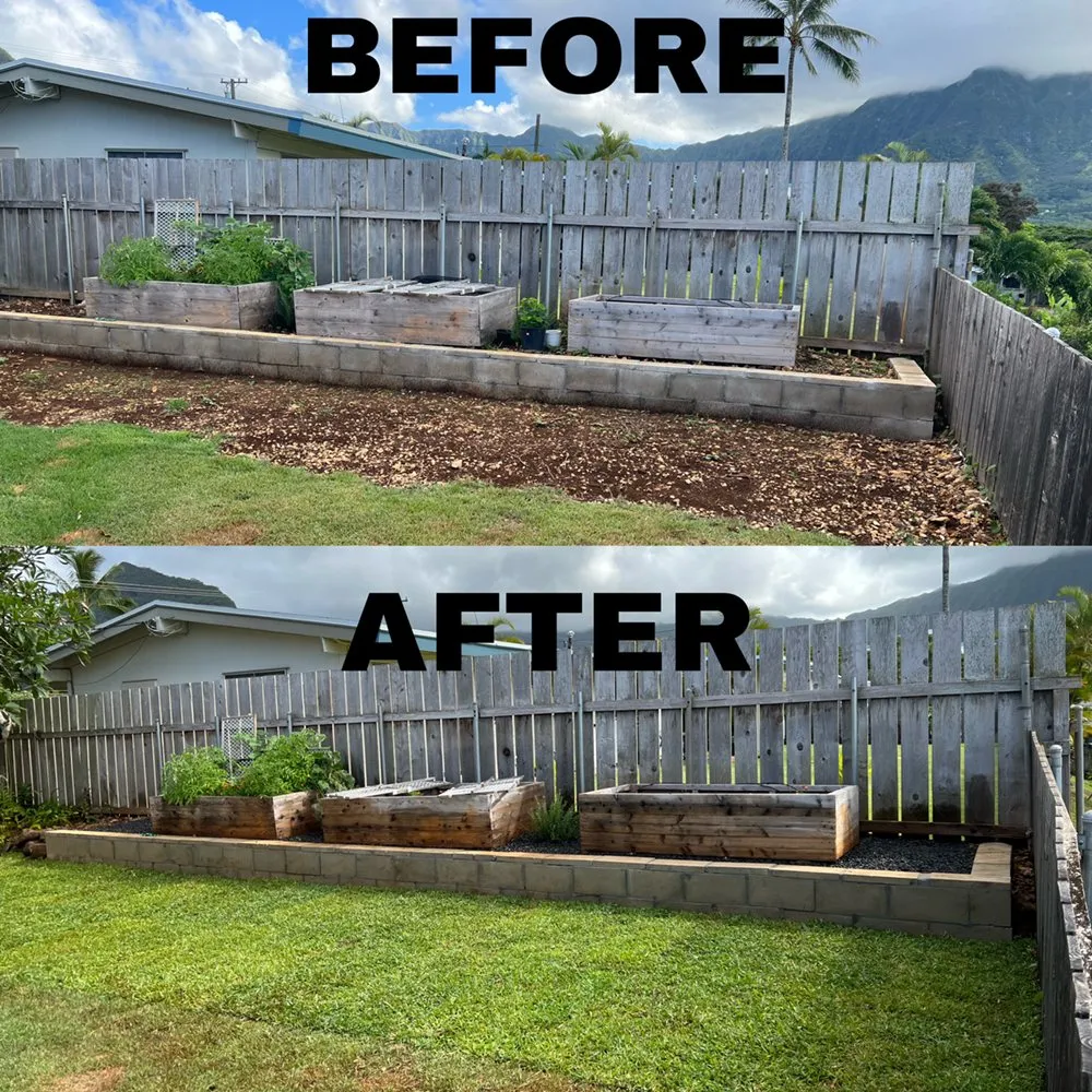 Custom yard maintenance for residential properties in Honolulu, HI by Hybrid Sons Lawn Care & Maintenance