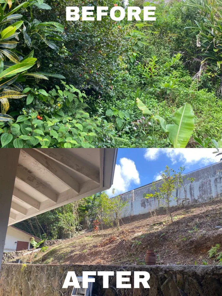 Expert lawn care service for homes across Honolulu, HI - Hybrid Sons Lawn Care & Maintenance