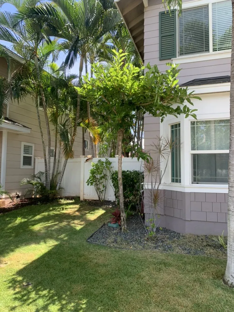 Local outdoor landscaping in Honolulu, HI by Hybrid Sons Lawn Care & Maintenance