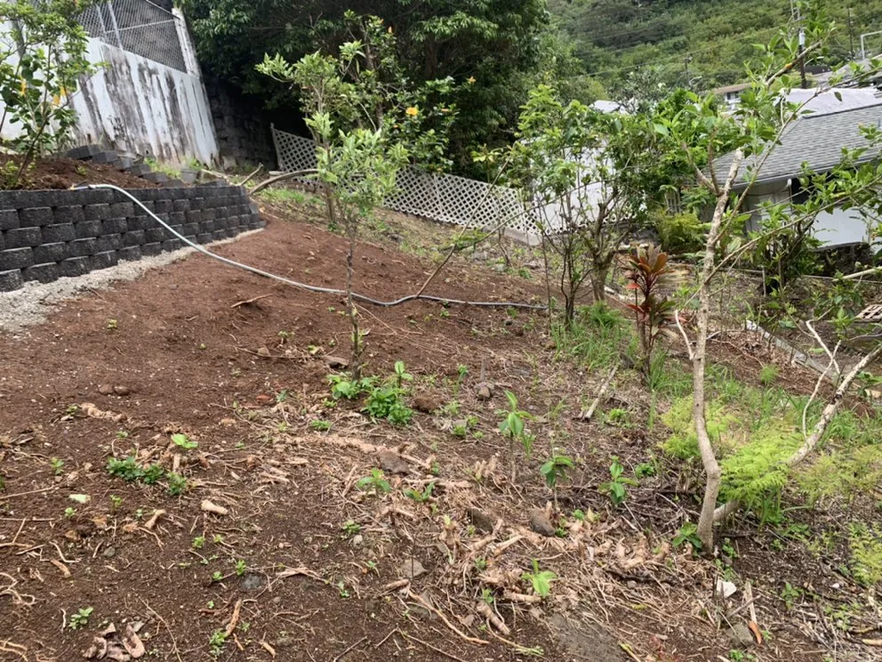 Professional outdoor landscaping for beautiful yards in Honolulu, HI by Hybrid Sons Lawn Care & Maintenance