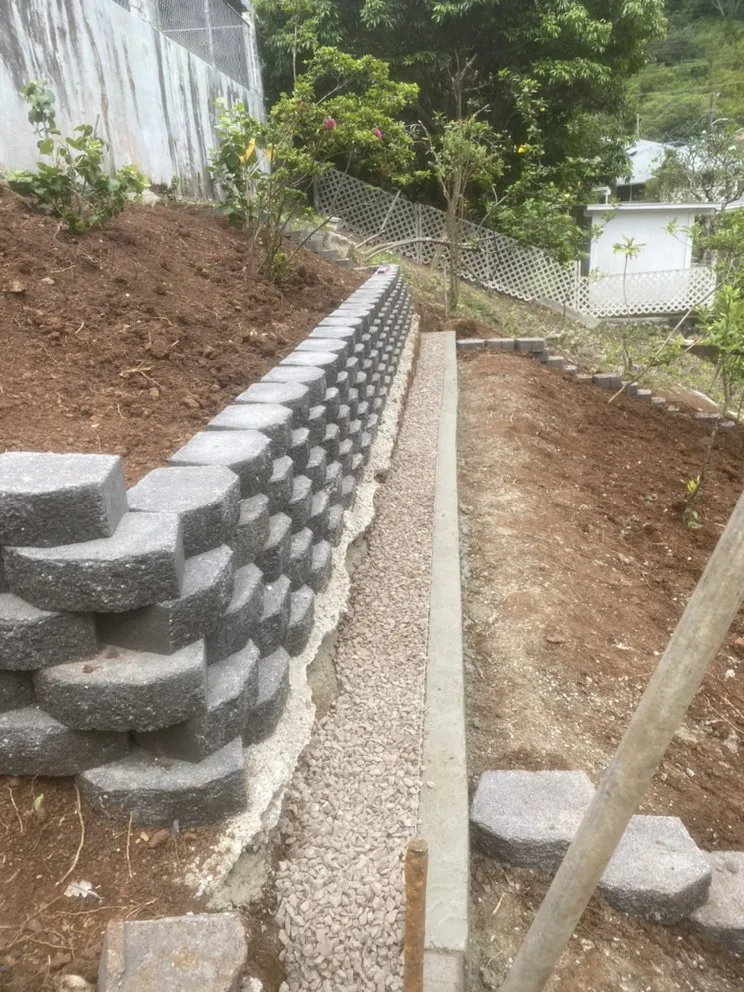 Top-rated yard maintenance experts serving Honolulu, HI - Hybrid Sons Lawn Care & Maintenance