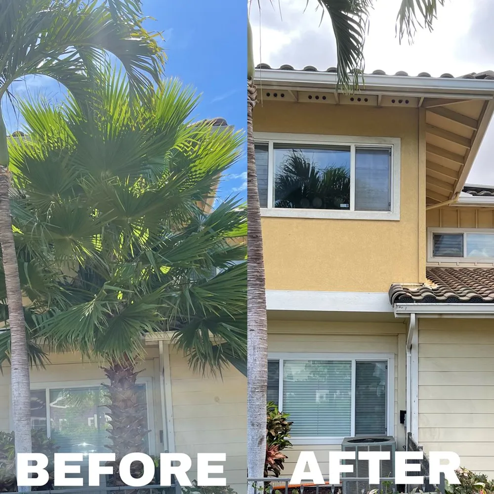 Expert landscape installation in Honolulu, HI - Hybrid Sons Lawn Care & Maintenance