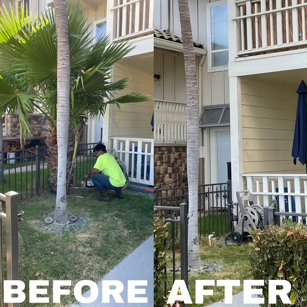 Custom lawn care service experts serving Honolulu, HI - Hybrid Sons Lawn Care & Maintenance