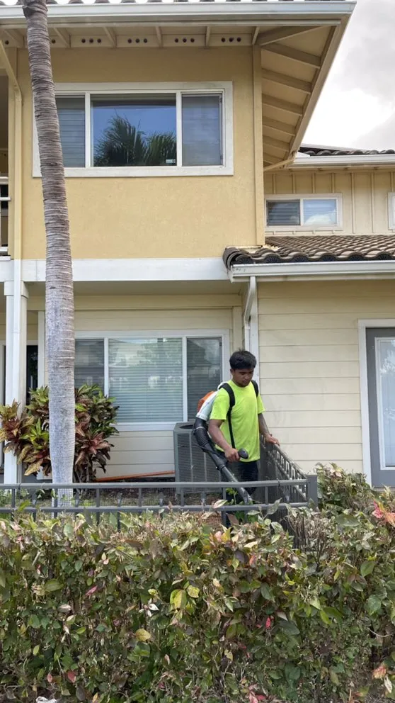 Expert yard cleanup service with custom design in Honolulu, HI by Hybrid Sons Lawn Care & Maintenance