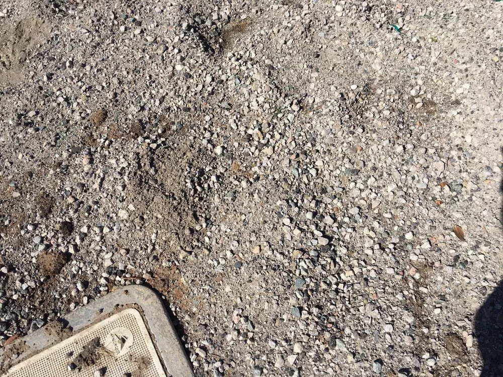 Expert landscape design experts serving Oceanside, CA - Hybrid Turf Corp California