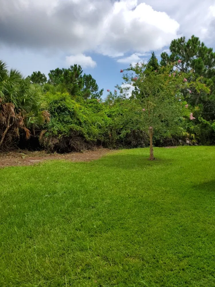 Trusted lawn care service in Palm Coast, FL - Hybrid Zoom Worx