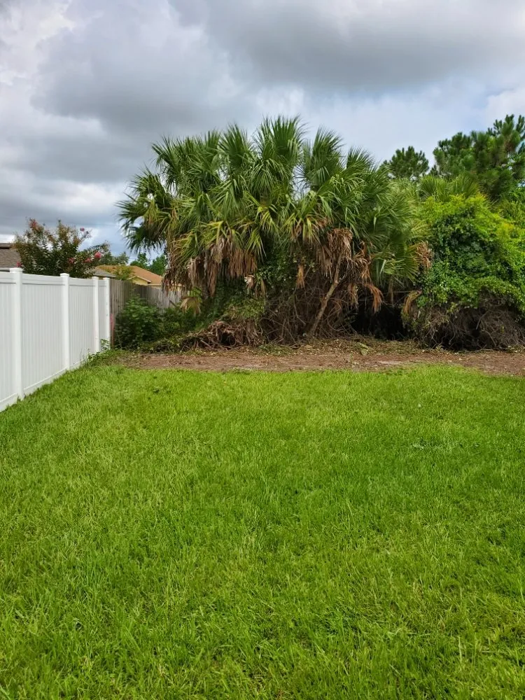 Expert yard cleanup service near you in Palm Coast, FL by Hybrid Zoom Worx