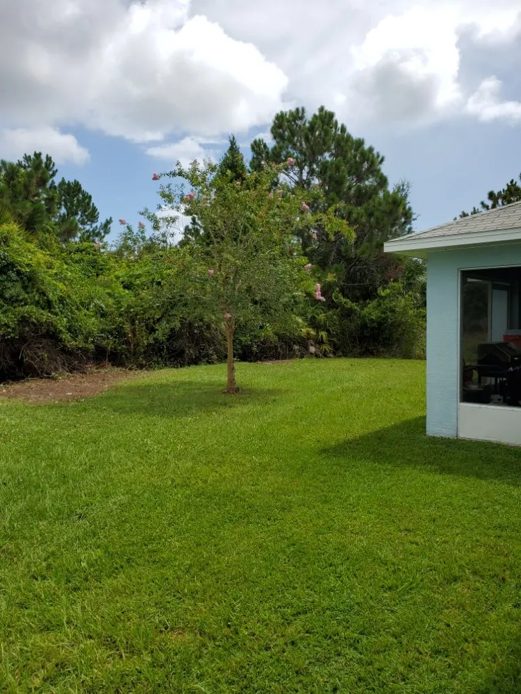 Local yard maintenance in Palm Coast, FL - Hybrid Zoom Worx