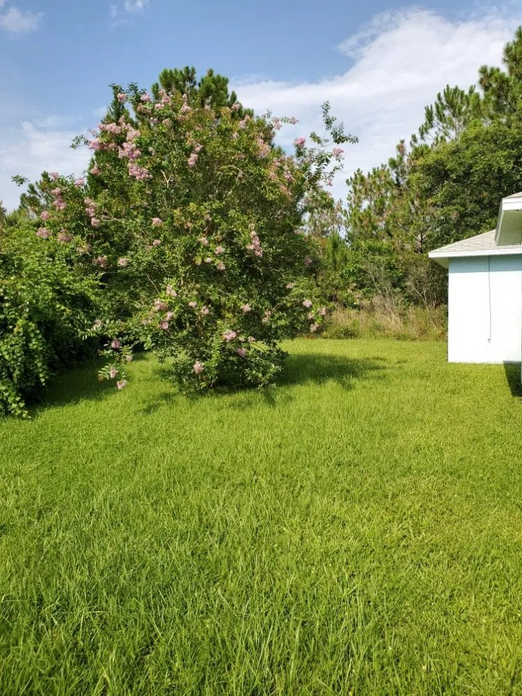 Custom yard cleanup service experts serving Palm Coast, FL - Hybrid Zoom Worx