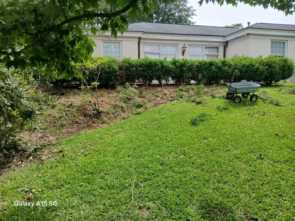 Expert yard maintenance for residential properties across McComb, MS - Hyde A Way