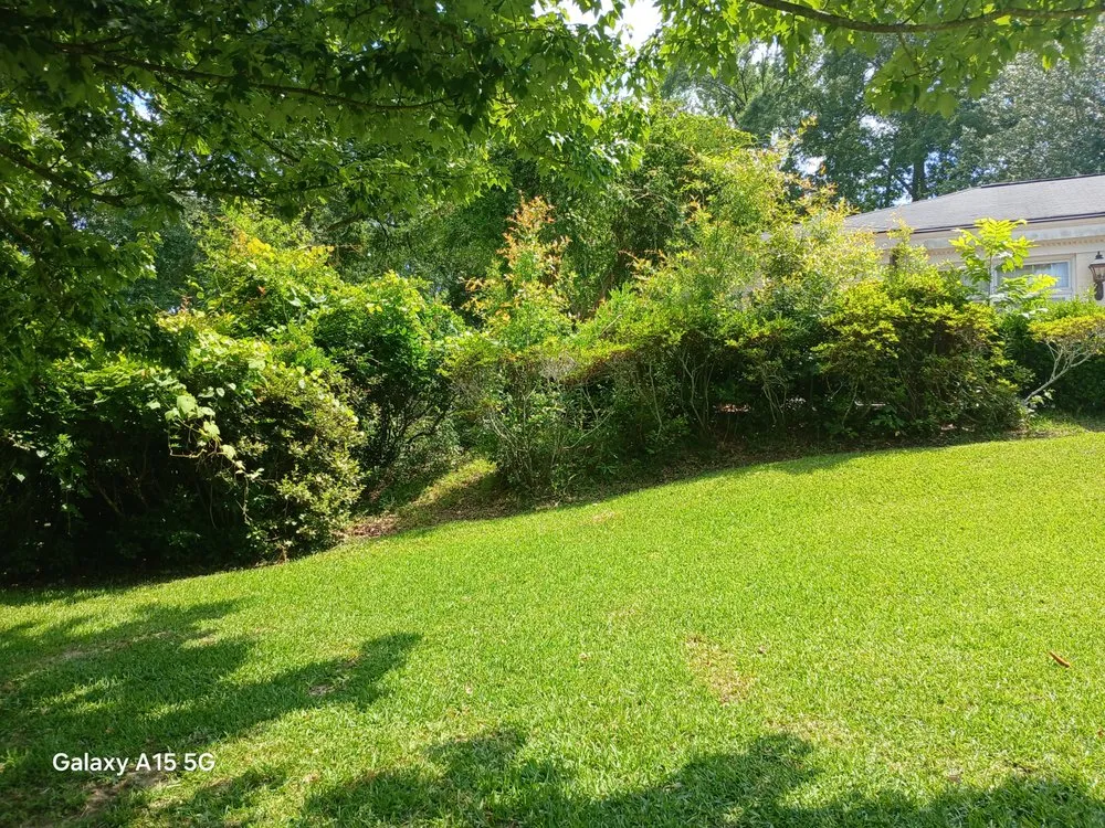 Local lawn care service experts serving McComb, MS - Hyde A Way