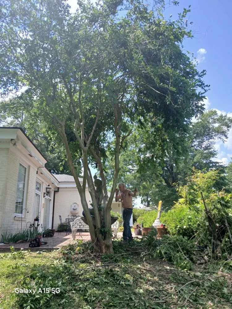 Top-rated landscaping services in McComb, MS - Hyde A Way