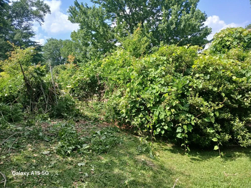 Reliable landscape installation experts serving McComb, MS - Hyde A Way