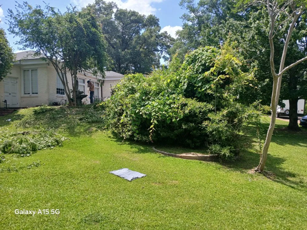 Professional landscaping services in McComb, MS by Hyde A Way