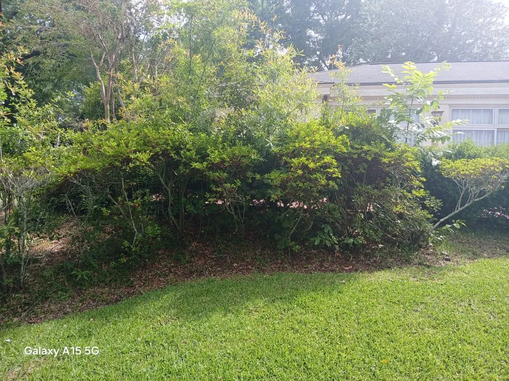 Affordable yard maintenance experts serving McComb, MS - Hyde A Way