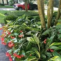 Custom garden landscaping experts serving Cincinnati, OH - Hyde Park Landscape & Tree Service