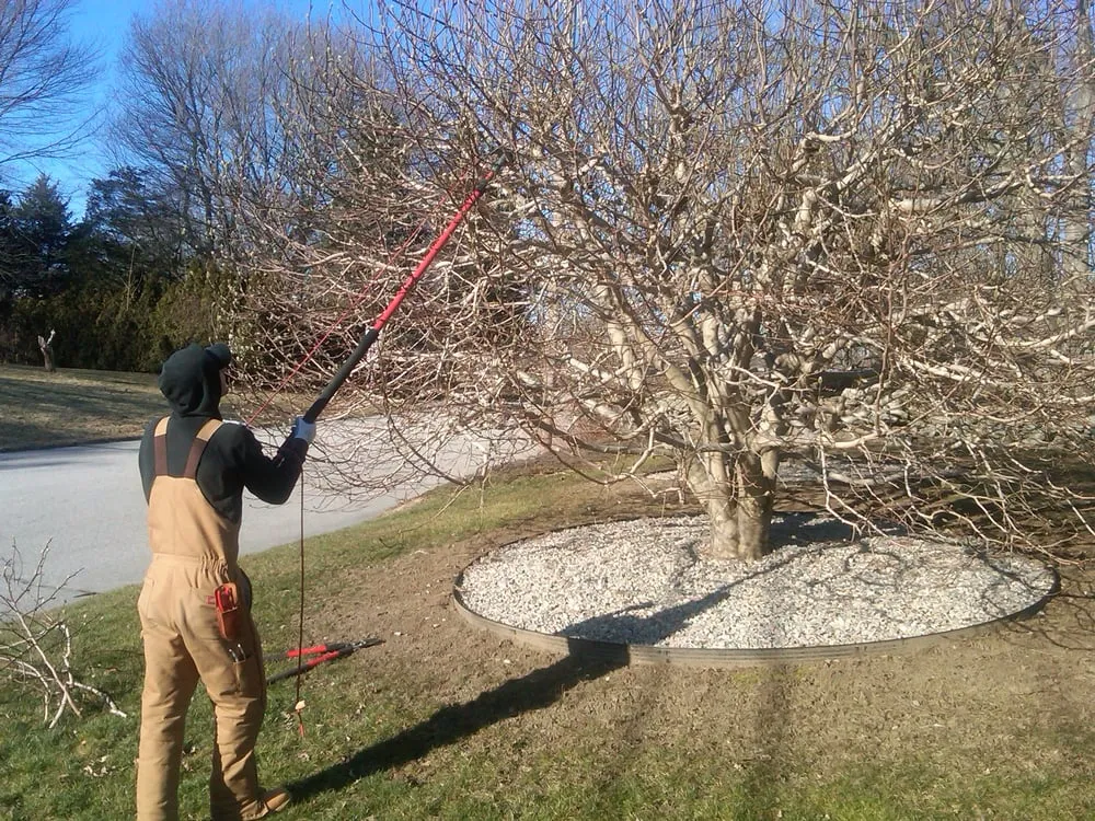 Expert yard maintenance near you across Norwich, CT - Hyde Park Landscape