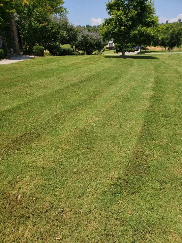 Affordable landscape design in Calhoun, GA by Hyde's Lawn Care