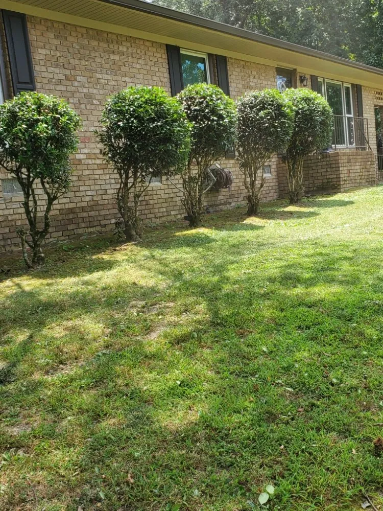 Trusted outdoor landscaping experts serving Calhoun, GA - Hyde's Lawn Care