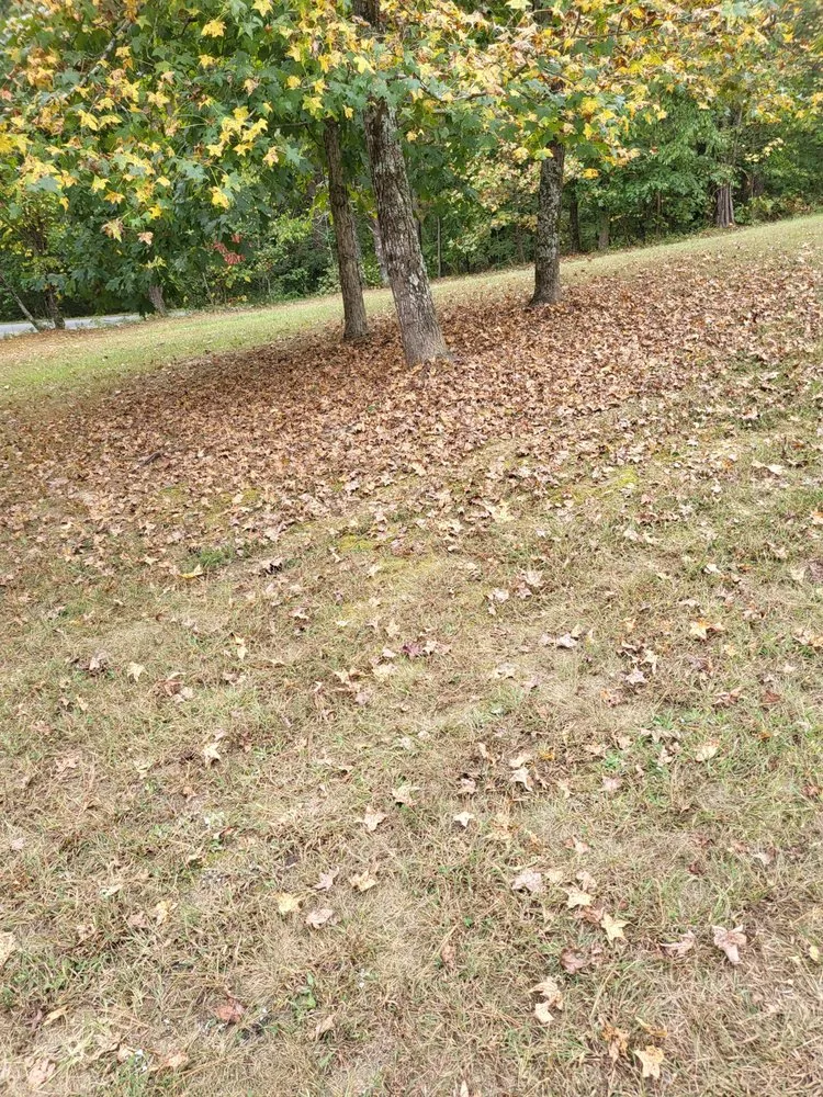 Expert landscape design for year-round maintenance in Calhoun, GA by Hyde's Lawn Care