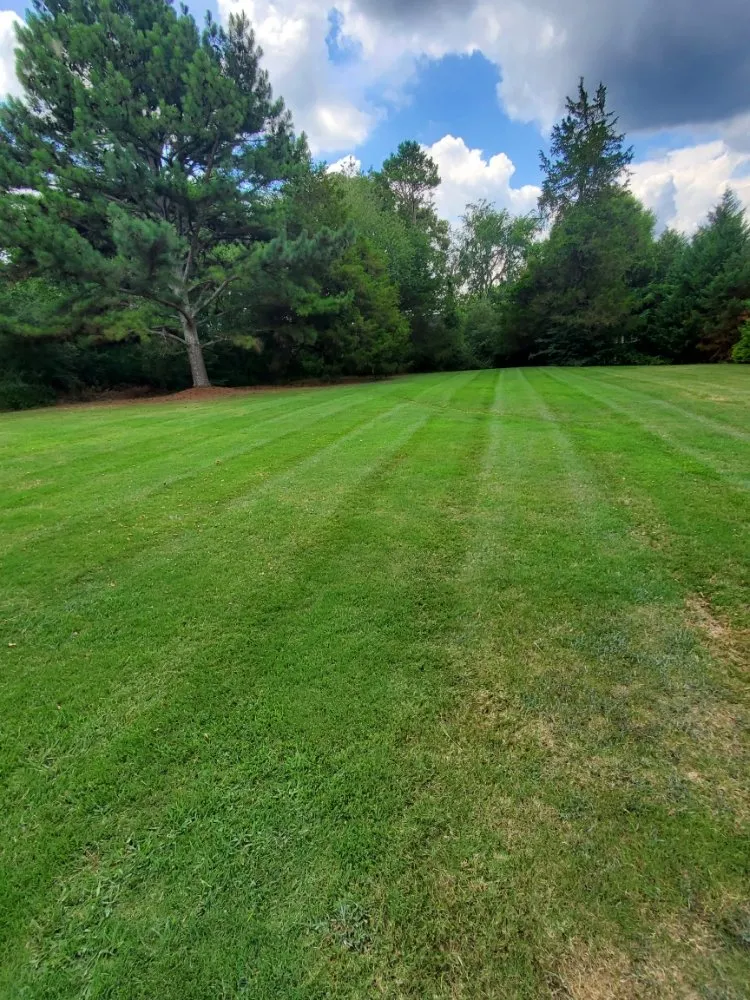 Affordable residential landscaping near you across Calhoun, GA - Hyde's Lawn Care