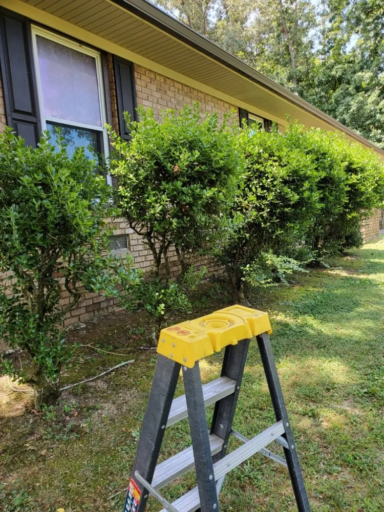 Local landscape design for homes across Calhoun, GA - Hyde's Lawn Care