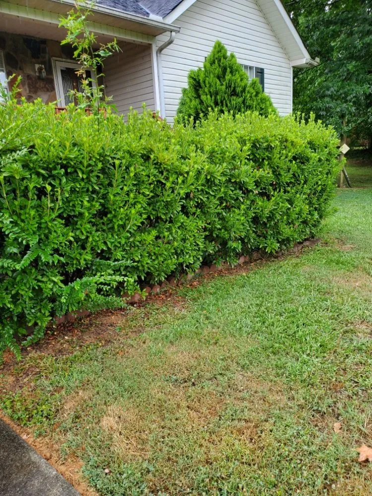 Custom lawn mowing service for homes in Calhoun, GA by Hyde's Lawn Care