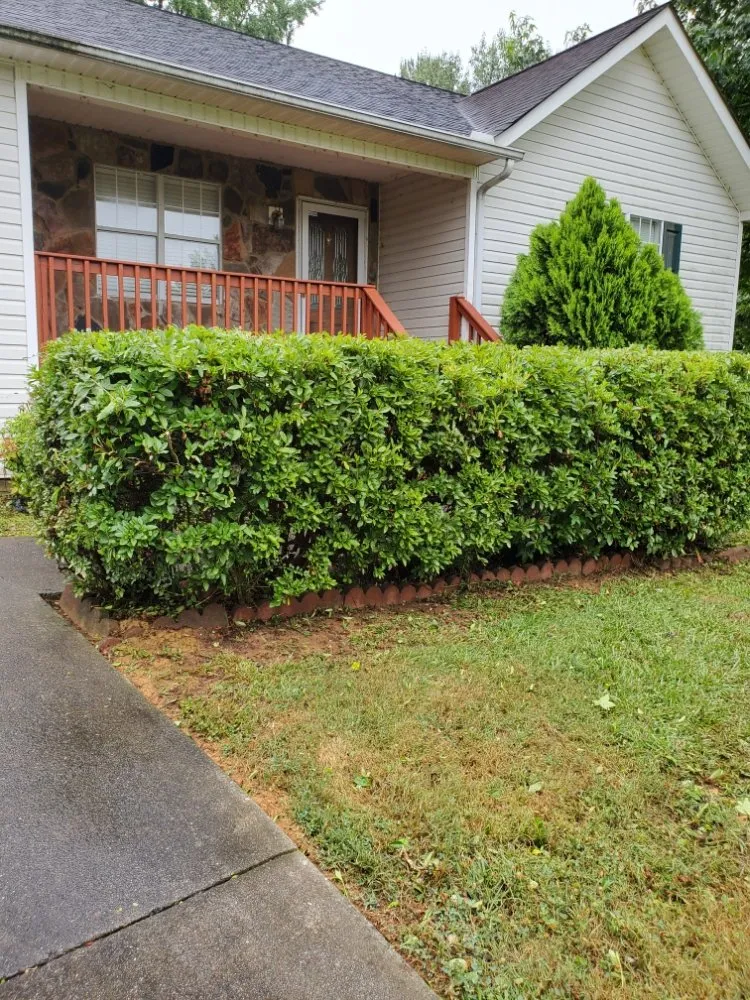 Expert yard maintenance for outdoor upgrades across Calhoun, GA - Hyde's Lawn Care