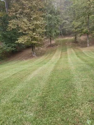 Hyde's Lawn Care Logo