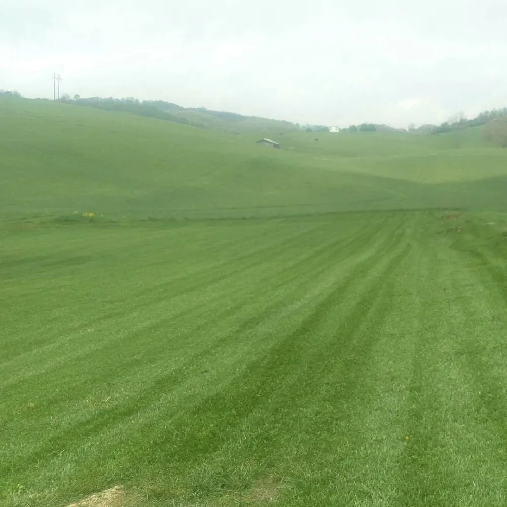 Custom landscaping services for year-round maintenance in Meadowview, VA by Hyde's Lawncare & Landscaping