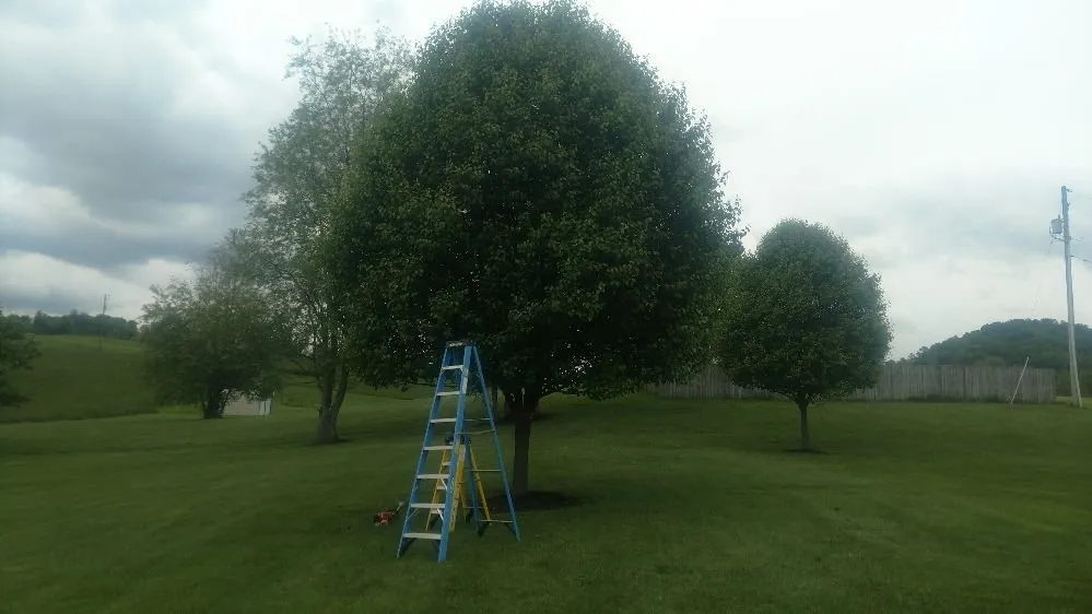 Trusted garden landscaping with custom design in Meadowview, VA by Hyde's Lawncare & Landscaping