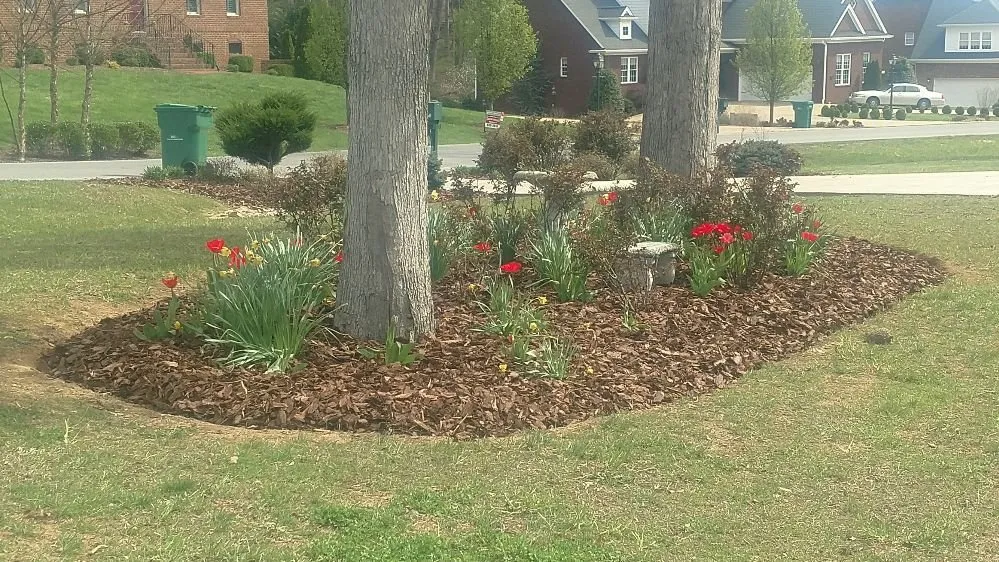 Trusted landscape installation for year-round maintenance across Meadowview, VA - Hyde's Lawncare & Landscaping