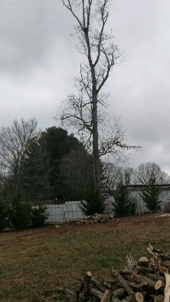 Custom lawn care service for beautiful yards in Meadowview, VA by Hyde's Lawncare & Landscaping