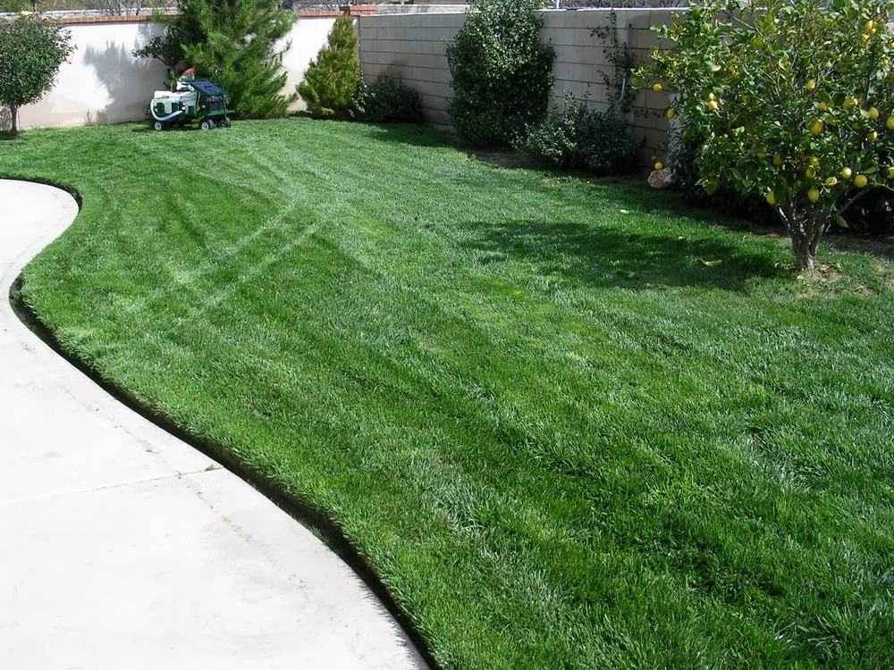 Professional yard cleanup service experts serving Winchester, CA - Hydro Grow Hydroseeding
