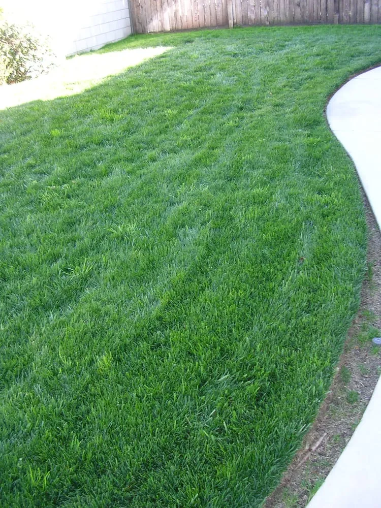 Trusted landscape installation near you across Winchester, CA - Hydro Grow Hydroseeding
