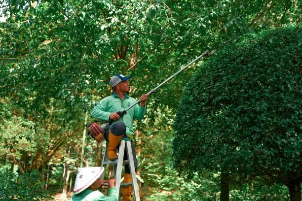 Affordable landscape installation experts serving Douglasville, GA - Hydro Kings