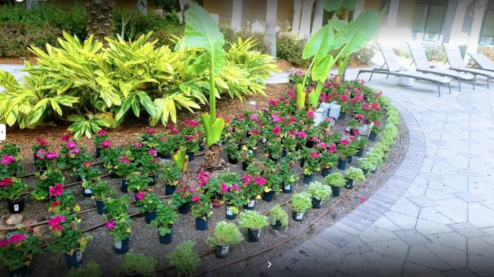 Top-rated landscape design for beautiful yards in Plant City, FL by Hydro Pro Irrigation
