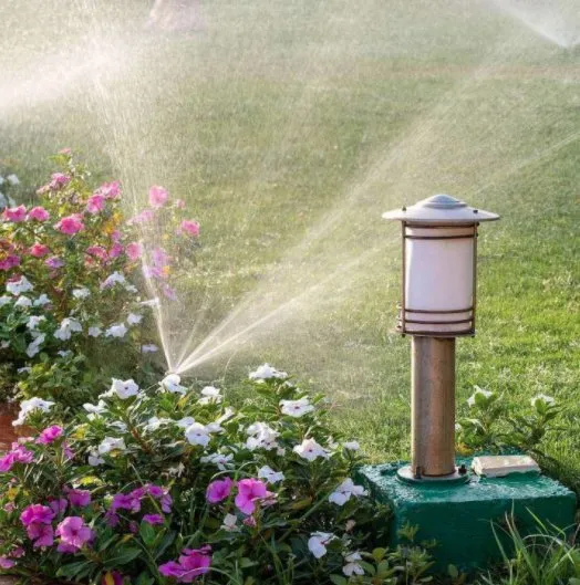 Affordable yard maintenance in Plant City, FL by Hydro Pro Irrigation