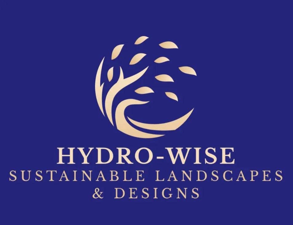 Trusted yard maintenance in Kyle, TX - Hydro-Wise Sustainable Landscapes & Designs