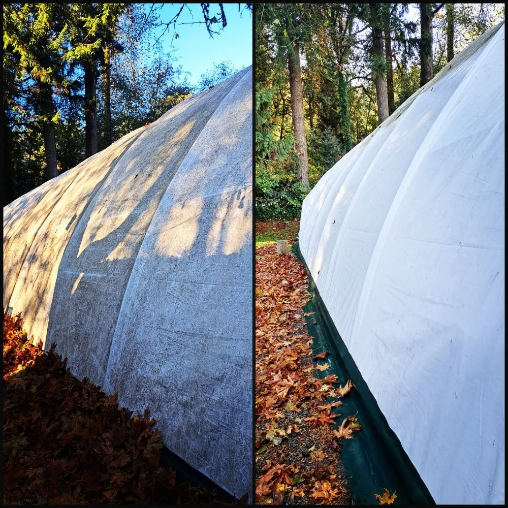 Custom lawn care service for beautiful yards across Maple Valley, WA - Hydroforce Pros