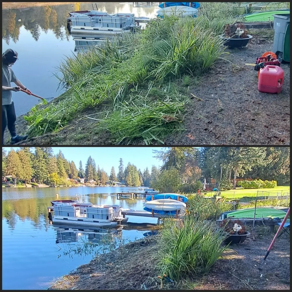 Expert landscape installation experts serving Maple Valley, WA - Hydroforce Pros